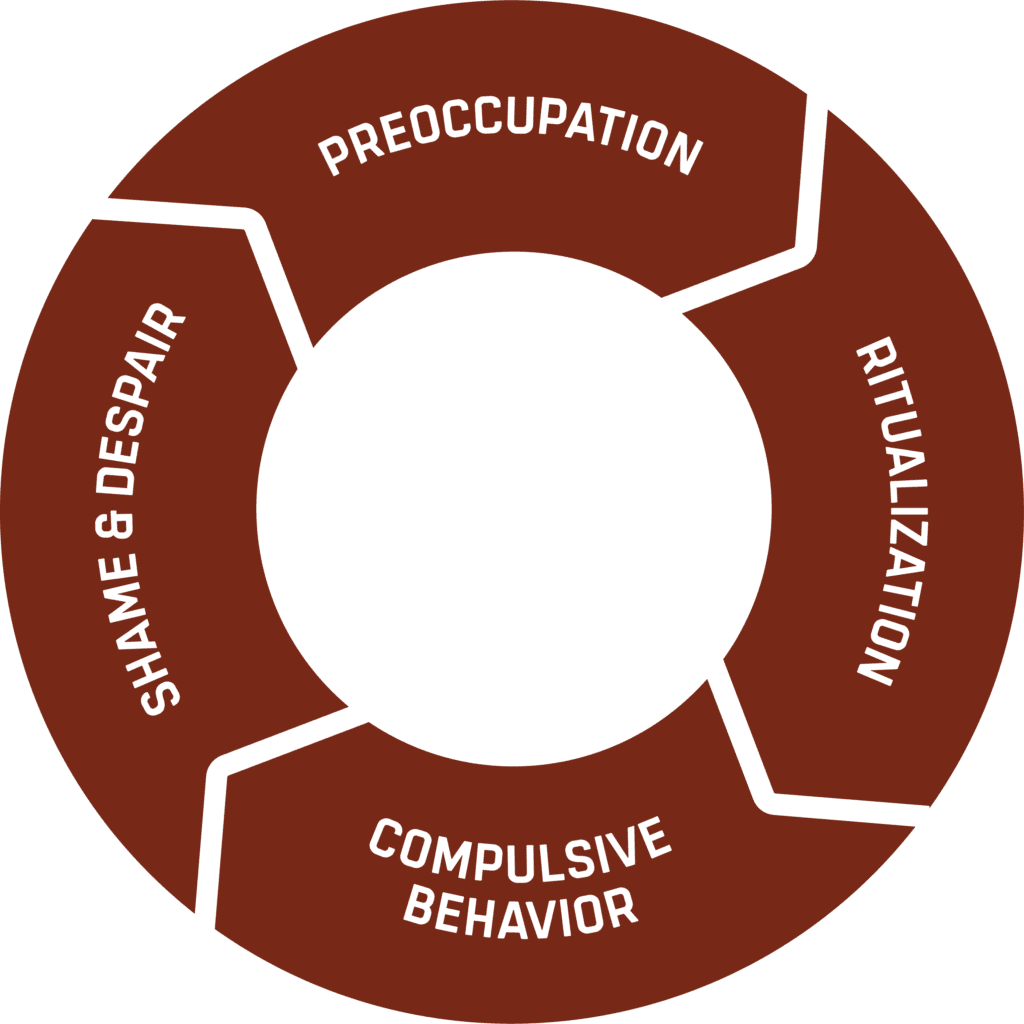 DIagram of the addiction cycle.