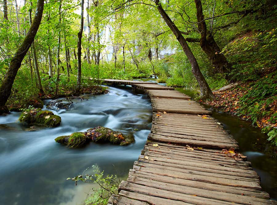 Picture of a wooden bridge over a mountain stream in the woods, signifying getting in touch with yoi=ur spirit.