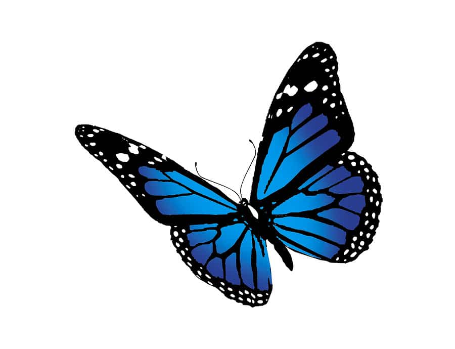 A picture of a butterfly signifies freedom gained through recovery.